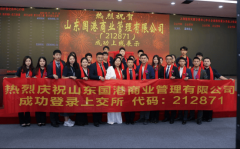 高速成长的新征程
